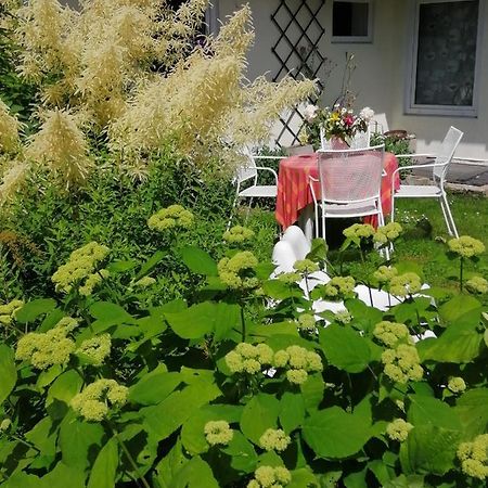 Secret Garden House In The Center Of Sigulda Vila Exterior foto