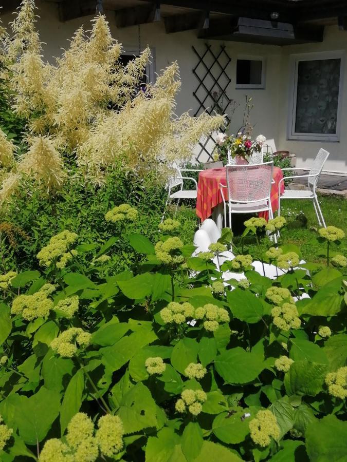 Secret Garden House In The Center Of Sigulda Vila Exterior foto