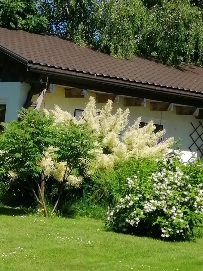 Secret Garden House In The Center Of Sigulda Vila Exterior foto